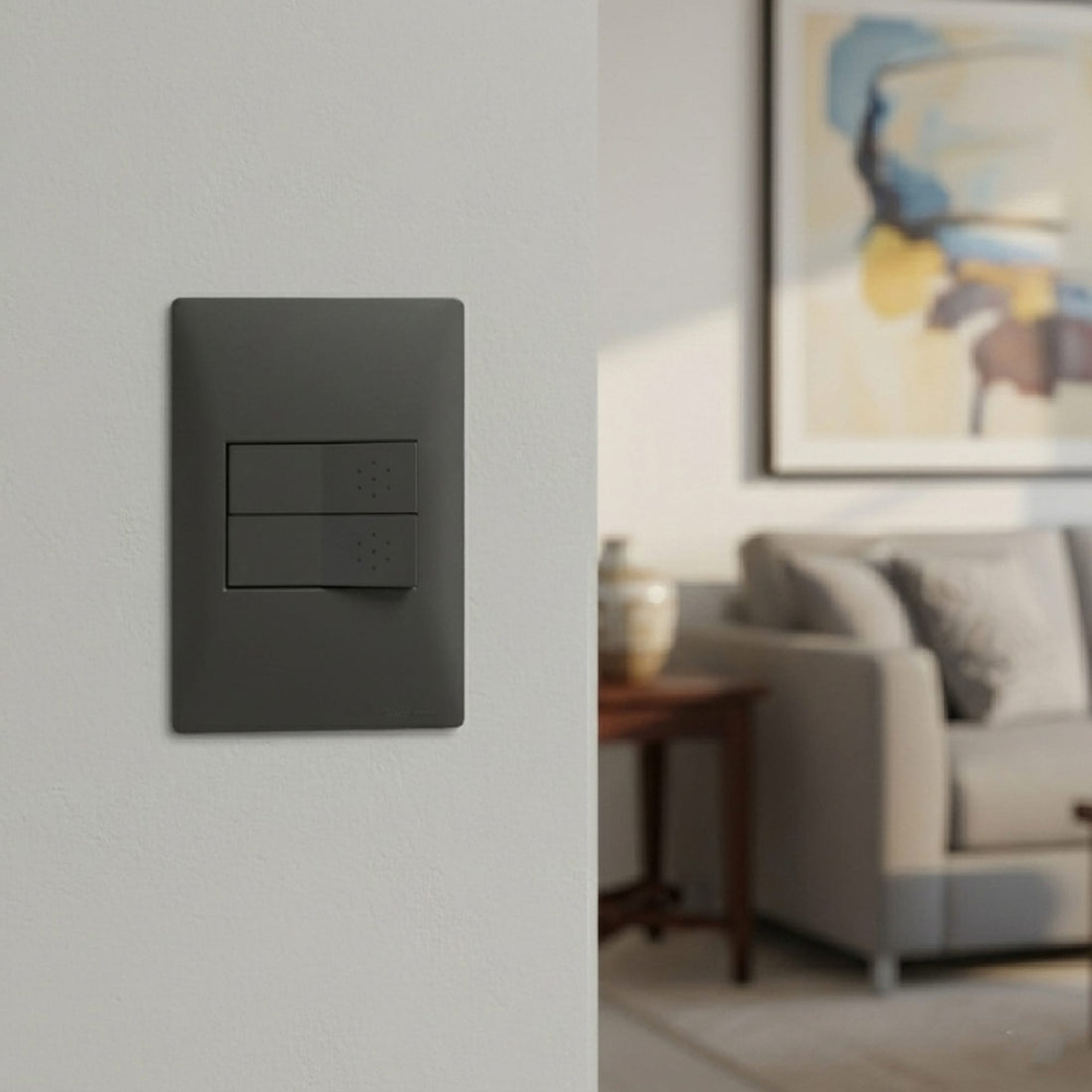 INTERRUPTOR SIMPLE 10A 250V GRIS (1 MÓDULO)